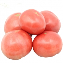 西红柿 一份 约400g±50g