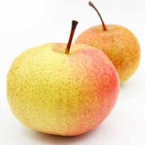 苹果梨 一斤