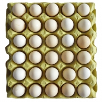 白壳鸡蛋/板