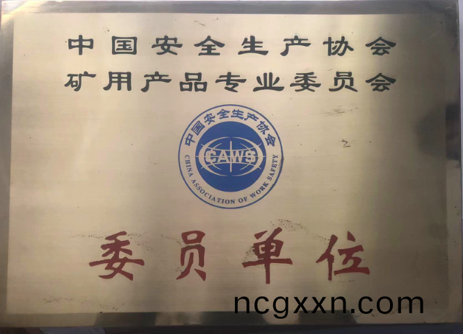 榮(rong)譽(yu)資質