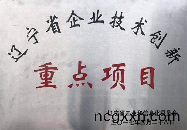 榮(rong)譽(yu)資(zi)質